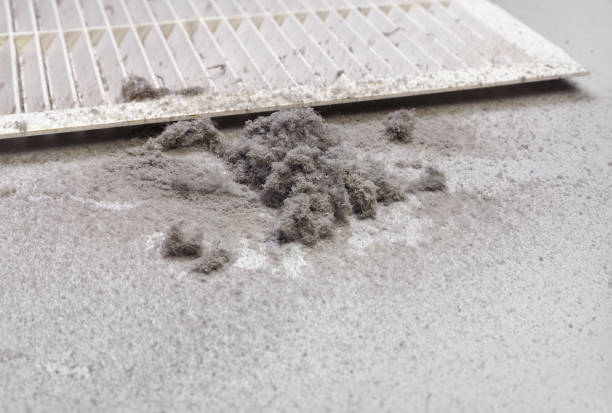Best HVAC Duct Inspection Services  in Bellefontaine, OH