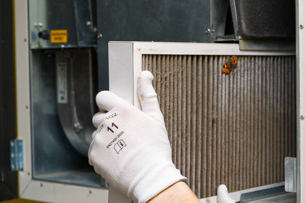 Best Affordable Duct Cleaning Services  in Bellefontaine, OH
