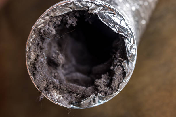Best HVAC Air Duct Cleaning  in Bellefontaine, OH