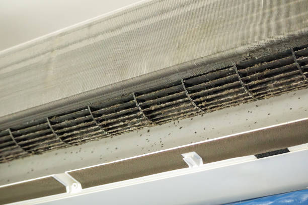 Best Air Duct Cleaning Near Me  in Bellefontaine, OH